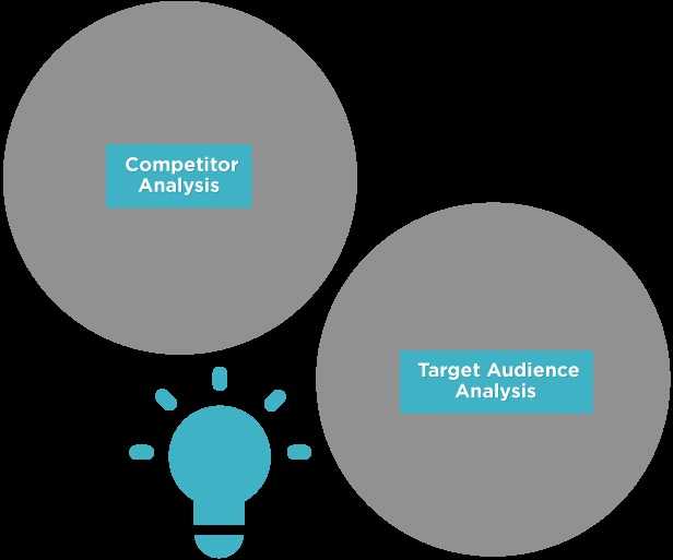 Target audience and competitor analysis