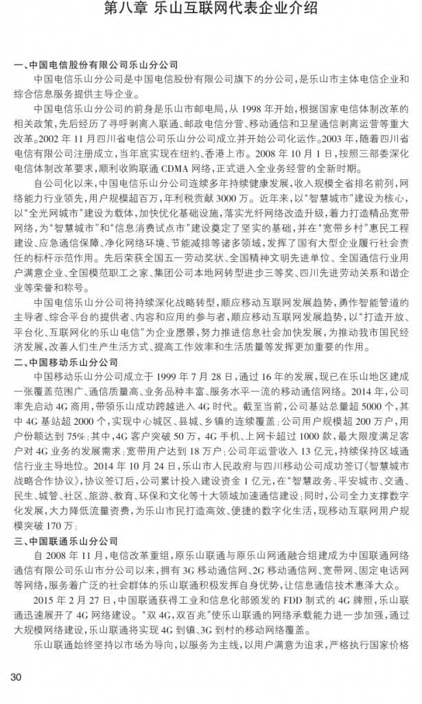 2014年乐山市互联网发展研究报告_000039