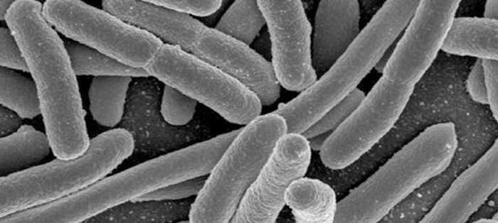 2015092117473249666094