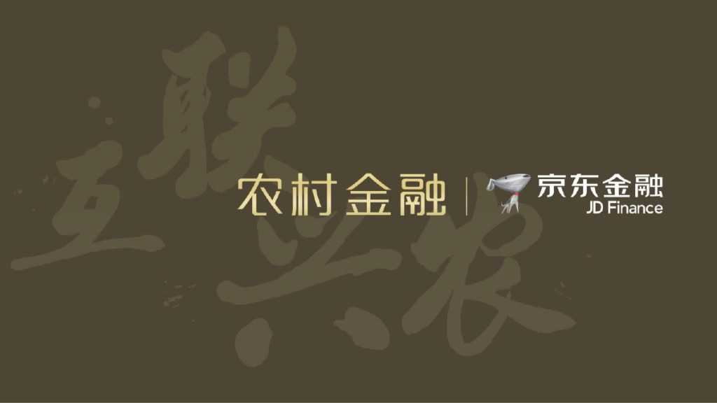 京东农村金融V2 2_有备注版_000001
