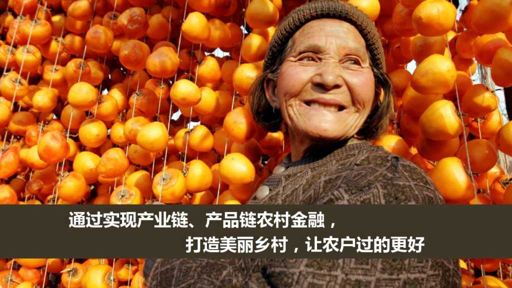 京东农村金融V2 2_有备注版_000020