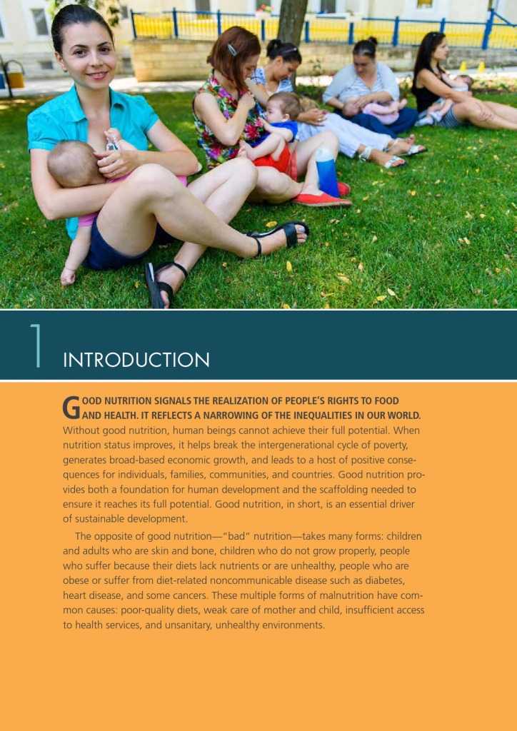 2015年全球营养报告_000032