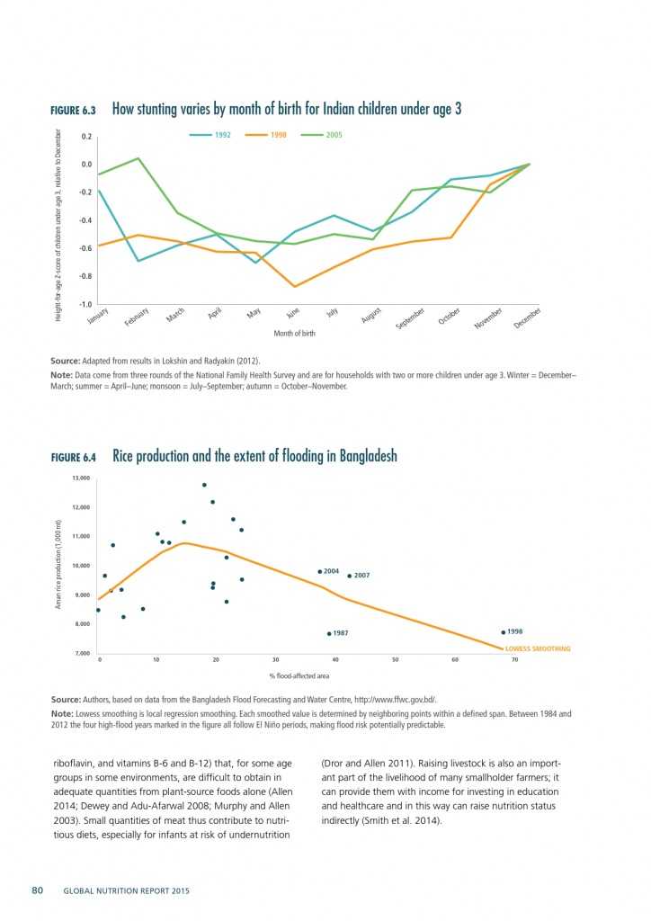 2015年全球营养报告_000110