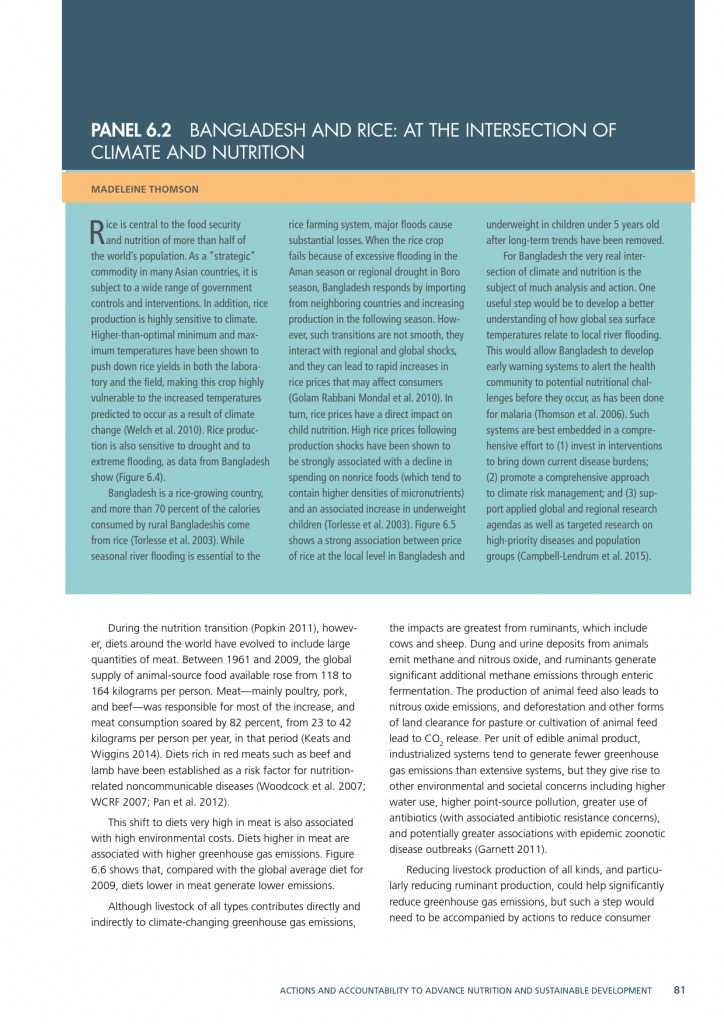 2015年全球营养报告_000111