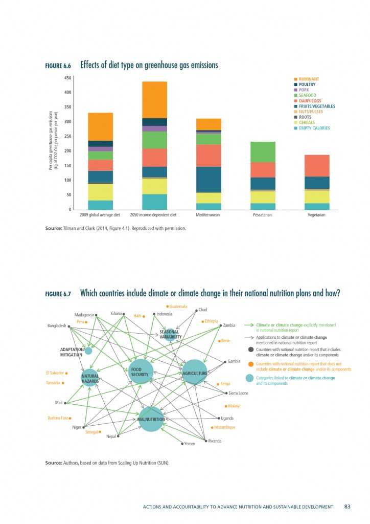 2015年全球营养报告_000113