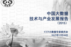 01-BDTC2015-启明星辰-潘柱廷-中国大数据技术与产业发展报告_000001.png
