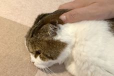 1781761013278-rg7ear.jpeg