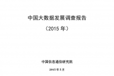 2015年中国大数据发展调查报告_000001.png