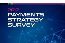 2017-Payments-Strategy-Survey_000.jpg