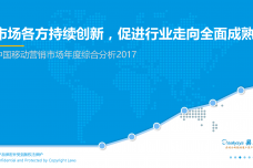 2017中国移动营销市场年度综合分析_000001.png