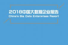 2018年中国大数据企业报告_000001.jpg