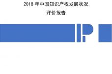 2018年中国知识产权发展状况评价报告_000001.jpg