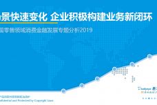2019中国零售领域消费金融发展专题分析_000001.jpg