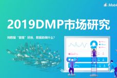 2019年DMP市场研究_000001.jpg