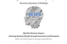 Big-Data-Executive-Survey-2017-Executive-Summary_000.jpg
