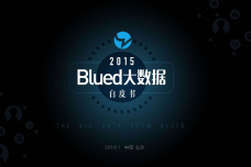 Blued2015中国同志社群大数据白皮书_000001.png