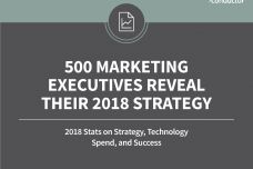 Marketing-Executives-Study-Research-2018_000.jpg