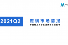 【魔镜市场情报】2021Q2中国线上高增长消费市场白皮书_00-1.png