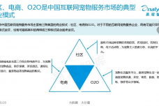 中国互联网宠物服务市场专题研究报告2015-01_000012.png
