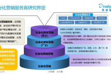 中国社会化营销服务商市场业务流程变迁专题研究_000002.png