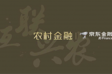 京东农村金融V2-2_有备注版_000001.png