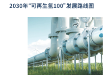 开启绿色氢能新时代之匙：中国2030年“可再生氢100”发展路线图_1.png