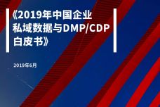 纷析智库：2019年中国企业私域数据与DMPCDP白皮书_000001-1.jpg