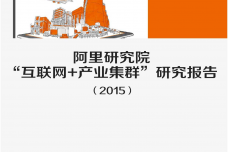 阿里研究院：2015年互联网-产业集群研究报告_000001.png